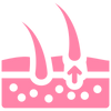 Icon 1